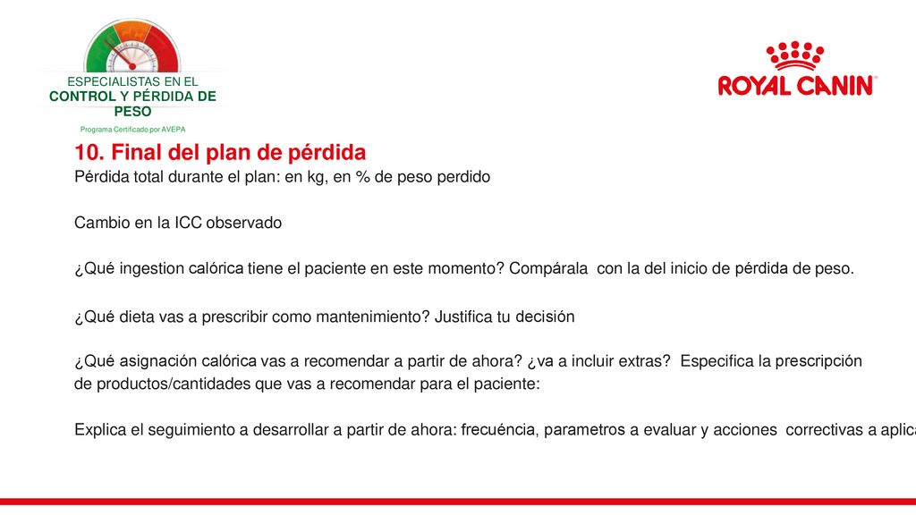 programa de inicio de pérdida de peso